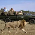 Gorah Elephant Lodge has a private setting in Addo National Park, perfect for malaria-free Big 5 game viewing.
