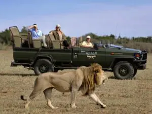 Gorah Elephant Lodge has a private setting in Addo National Park, perfect for malaria-free Big 5 game viewing.
