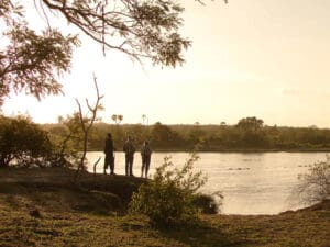 Los paseos guiados por la naturaleza a lo largo de los caudalosos ríos de Tanzania son siempre gratificantes, especialmente durante la estación seca.