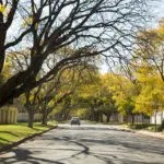 Houghton is one of the city's wealthiest suburbs, and is home to Nelson Mandela's house.