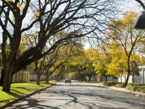 Houghton is one of the city's wealthiest suburbs, and is home to Nelson Mandela's house.