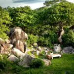 Jabali Ridge is set on the banks of the Mwagusi River in the northern area of the park.