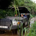 A professional safari vehicle and an experienced guide ensure safe and enjoyable journeys.
