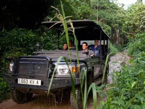 A professional safari vehicle and an experienced guide ensure safe and enjoyable journeys.
