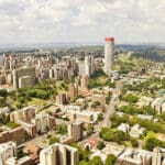 Joburg has the largest man-made forest in the world.