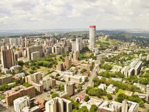 Joburg has the largest man-made forest in the world.