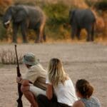 Jongomero Camp is a remote camp in the heart of the Ruaha National Park on the banks of a seasonal Sand River.