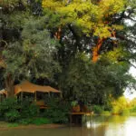 Kanga Bush Camp está situado detrás del río y tiene vistas a una poza muy frecuentada.