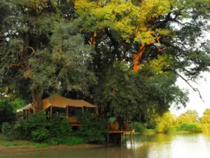 Kanga Bush Camp está situado detrás del río y tiene vistas a una poza muy frecuentada.