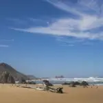 The beautiful beaches of nearby Keurboomstrand make a summer holiday to Plettenberg Bay a welcome one.
