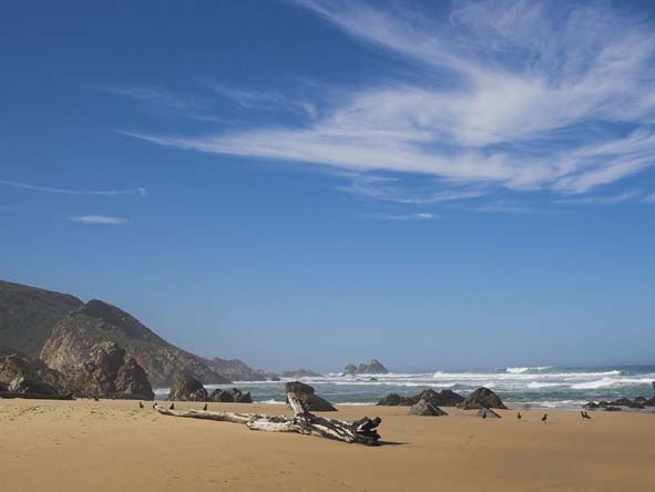 The beautiful beaches of nearby Keurboomstrand make a summer holiday to Plettenberg Bay a welcome one.
