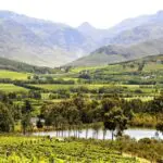 La Petite Ferme goza de impresionantes vistas de los huertos y viñedos del frondoso valle.