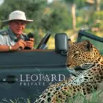 Los leopardos pueden verse incluso en pleno día, aunque se sabe que son animales nocturnos.