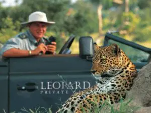 Los leopardos pueden verse incluso en pleno día, aunque se sabe que son animales nocturnos.