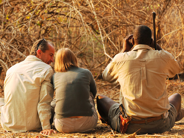 Mana Pools is ideal for a multi-activity safari- enjoy guided walks, game drives, canoe safaris & boat trips.
