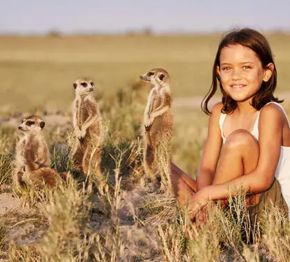 meerkat-kids-2-2