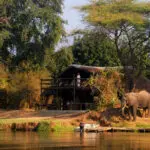 Most lodges are unfenced & open to the wild - prepare for unexpected visitors!