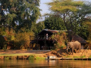 Most lodges are unfenced & open to the wild - prepare for unexpected visitors!