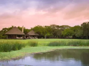 Phinda Forest Lodge se encuentra en una de las reservas de los 5 Grandes más diversas y gratificantes de Sudáfrica: la Reserva de Recursos Phinda.