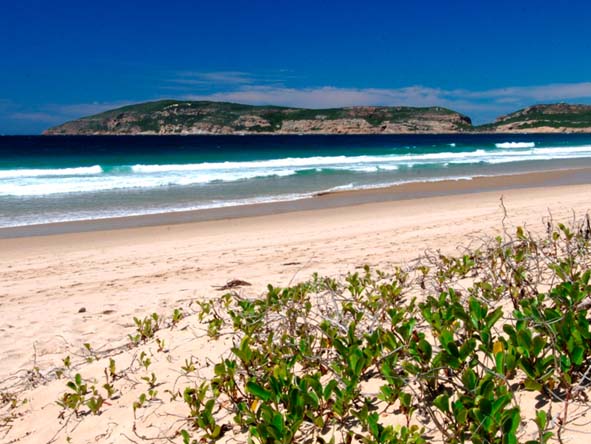 Robberg Beach is a favourite; enjoy long walks from the Beacon Isle hotel all the way to Robberg Nature Reserve.
