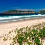 La Reserva Natural de Robberg, en la bahía de Plettenberg, ofrece preciosas vistas al mar, la laguna y la montaña.