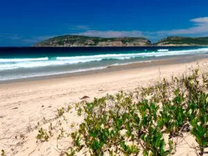 La Reserva Natural de Robberg, en la bahía de Plettenberg, ofrece preciosas vistas al mar, la laguna y la montaña.