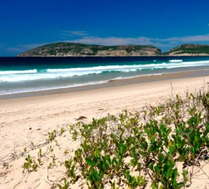 Robberg Nature Reserve in Plettenberg Bay has with lovely sea, lagoon and mountain views.