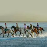 Varios campamentos del Kalahari ofrecen safaris a caballo, una forma estimulante de rastrear la vida salvaje y explorar el paisaje único.