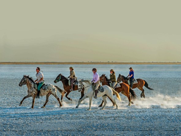 Several Kalahari camps offer horseback safaris, an exhilarating way to track wildlife and explore the unique landscape.