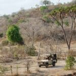 Tan remotas son las reservas de esta parte de Tanzania que es probable que su vehículo de safari sea el único que vea.