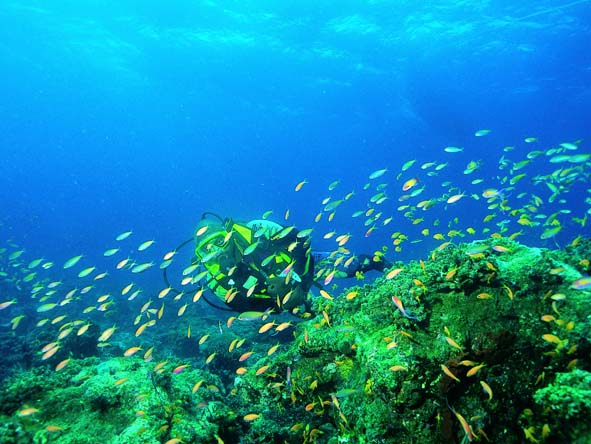 Some of the best scuba diving in the Indian Ocean can be enjoyed in the Quirimbas Archipelago.