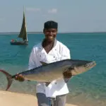Dé un paseo por la playa con su chef y verá lo que hay para cenar: el pescado no es más fresco que aquí.