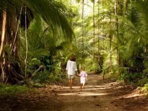 Tómese su tiempo para explorar los frescos bosques del interior; la isla de Praslin es especialmente buena para hacer rutas de senderismo.