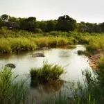 El río Sand separa el Parque Nacional Kruger de Sabi Sands, y puede desbordarse en temporada.