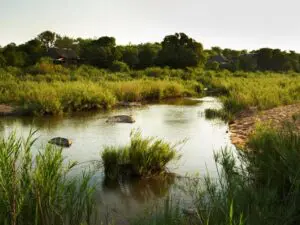El río Sand separa el Parque Nacional Kruger de Sabi Sands, y puede desbordarse en temporada.