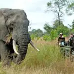 La gran ventaja de hacer un safari en Sabi Sands es que la mayoría de las reservas permiten circular en todoterreno.