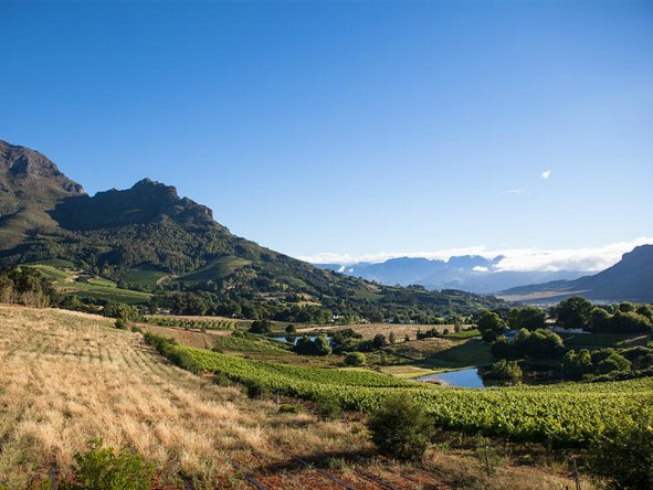 Franschhoek is close to Cape Town for a self-drive vacation but far away enough to feel like you're getting into the heart of wine country.
