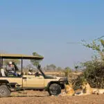 El Parque Nacional de Luangwa Meridional, rico en agua y animales, es un paraíso para los depredadores.