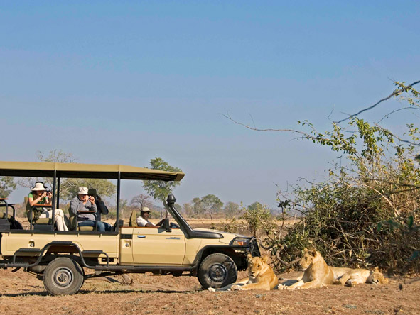 Well-watered & game-rich, the South Luangwa National Park is a predator's paradise.