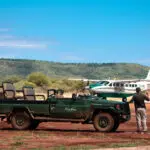 Whether you fly into Madikwe, drive yourself or catch a transfer, you'll always be assured of a friendly welcome.