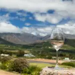 Hay mucho que ver y hacer en Franschhoek, desde museos y bodegas hasta los variados restaurantes de la ciudad.