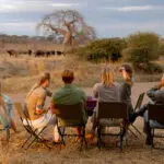 With so few other visitors to Ruaha National Park, you can expect crowd-free game viewing all year round.