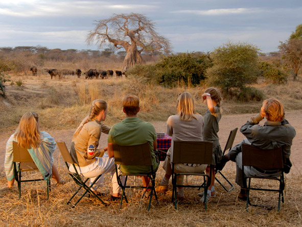 With so few other visitors to Ruaha National Park, you can expect crowd-free game viewing all year round.