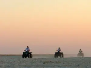 Vous apprécierez l'ampleur des vastes Makgadikgadi Pans lors d'une passionnante expédition en quad.