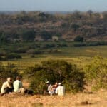 Su guía estará atento tanto a los animales como a los lugares adecuados para descansar y disfrutar de las vistas con una taza de café.
