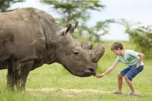 Disfrute de increíbles encuentros con la fauna | Ol Pejeta Bush Camp
