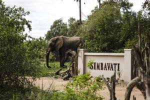 simbavati-river-lodge