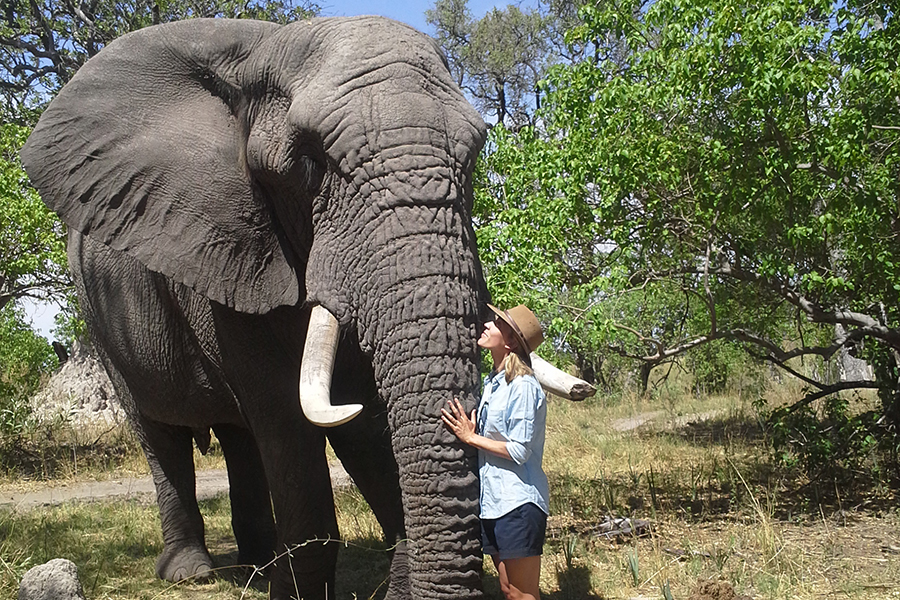 Sanctuary Stanley’s elephant experience in Botswana