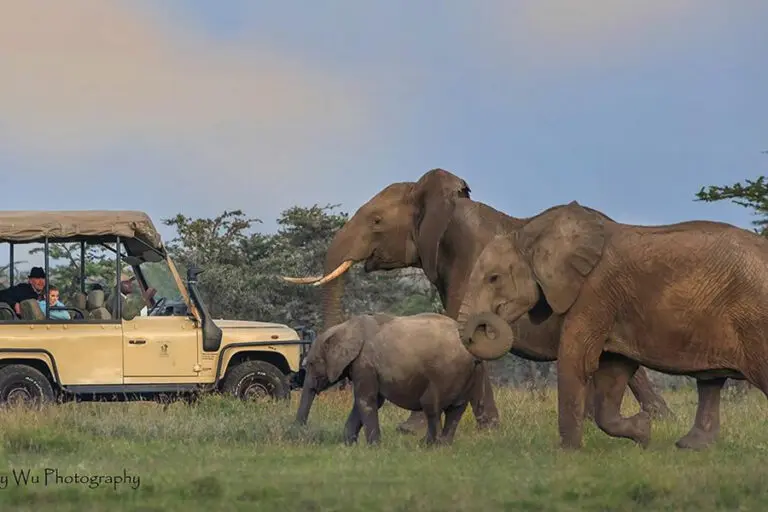 Fantastic game viewing.