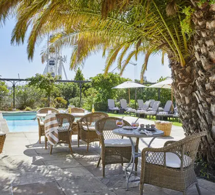 Dine or relax with a drink next to the pool under the shape of the palm trees. 